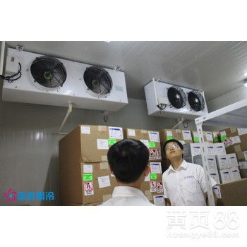 上海食品冷库工程建造公司网络工程解决方案