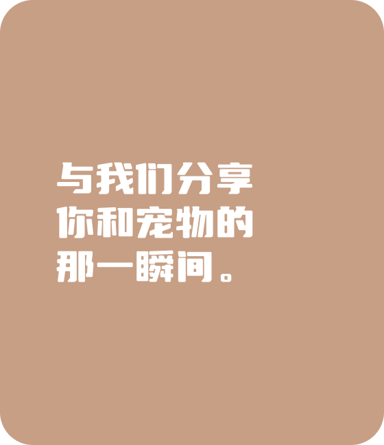 zoty中欧宠物，无处不在